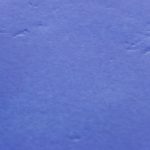 カヴァッロTB-CVL-772