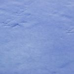 カヴァッロTB-CVL-774