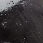 壁床タイル「カヴァッロ(TB-CVL-ABQ6)」