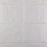 サクラメントTB-SCR-2