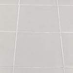 サクラメントTB-SCR-2