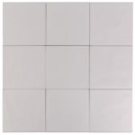 サクラメントTB-SCR-2