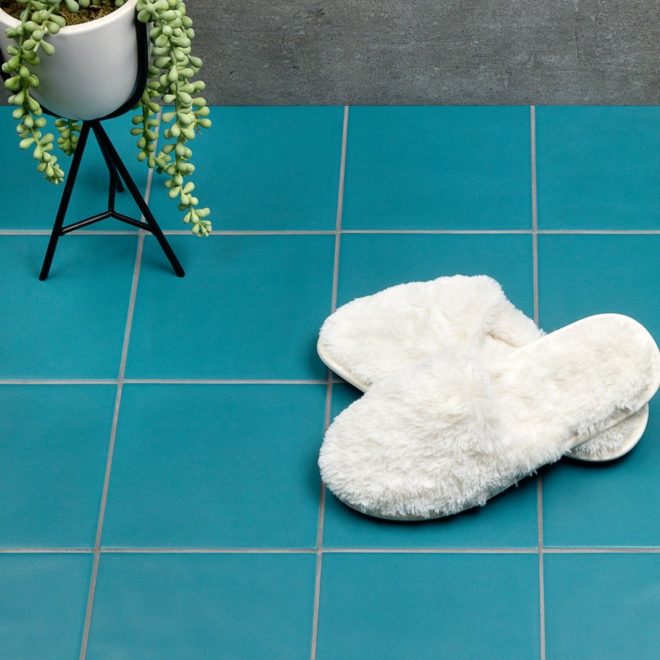 サクラメントTB-SCR-1