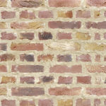 キャン'ブリック ネザーランド(NL-6)