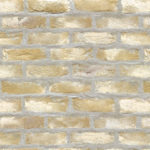 キャン'ブリック セントジェームス(SJ-1)