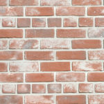 キャン'ブリック スタンダード(STD-10)