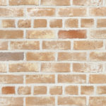 キャン'ブリック スタンダード(STD-25)