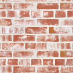 キャン'ブリック テキサスクレンショー(TX-5)