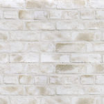 キャン’ブリック シロブリ(WH-2)