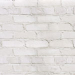 キャン’ブリック シロブリ(WH-3)