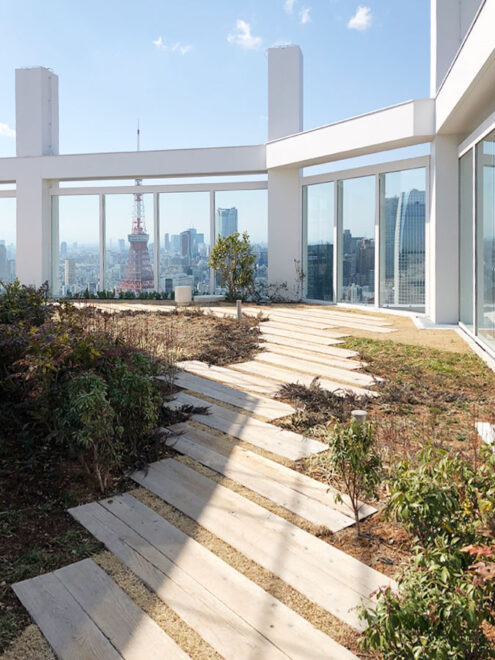 東京タワーを望む空中庭園