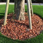 施工イメージ wood-chip-sekou01