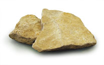 プレートタイプ